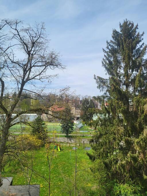 Luxusni Mezonet V Centru *