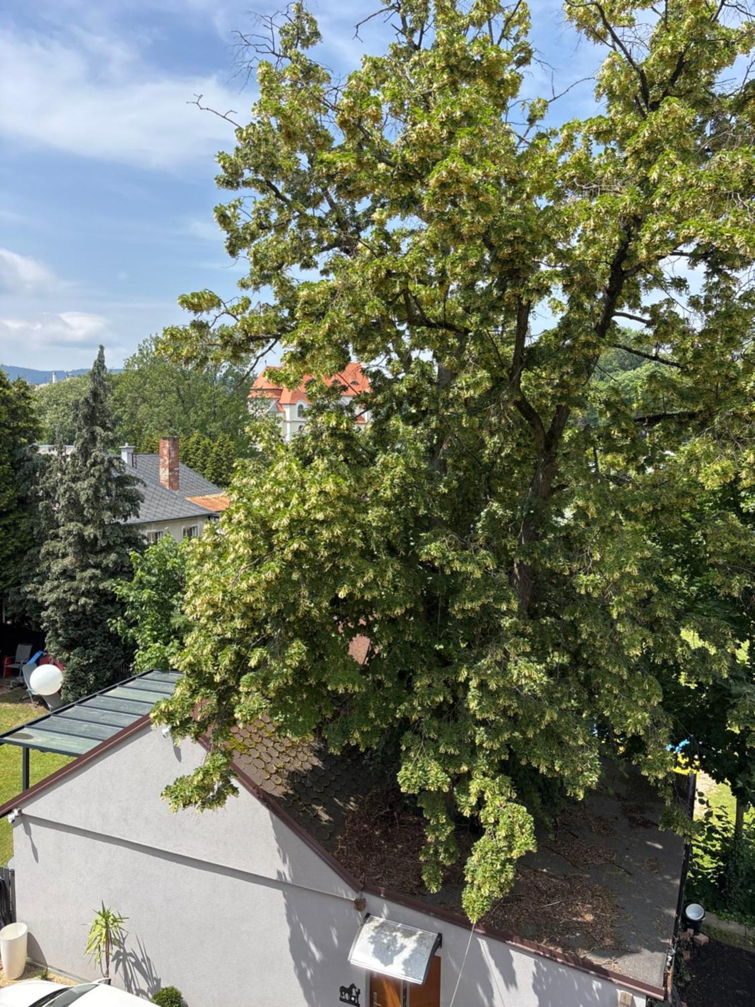 Luxusni Mezonet V Centru